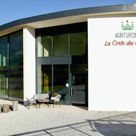 Agritur La Corte Dei Ciliegi ترينتو المظهر الخارجي الصورة